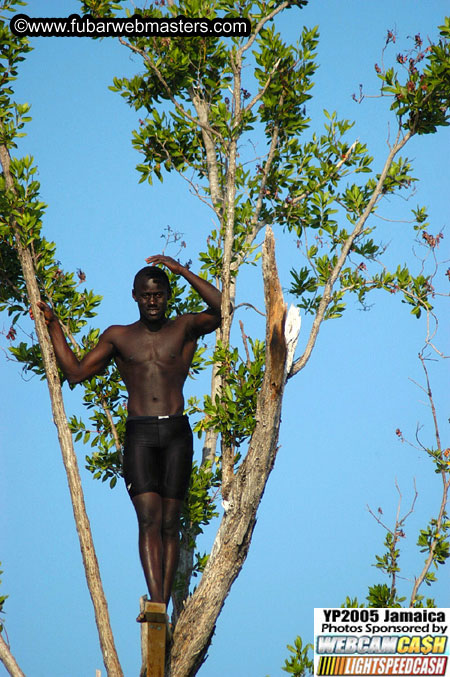 Afternoon Catamaran Cruise 2005