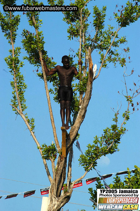 Afternoon Catamaran Cruise 2005