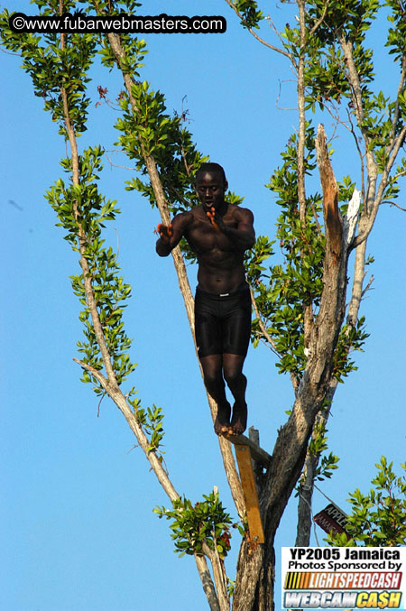 Afternoon Catamaran Cruise 2005