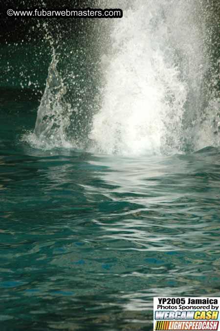 Afternoon Catamaran Cruise 2005