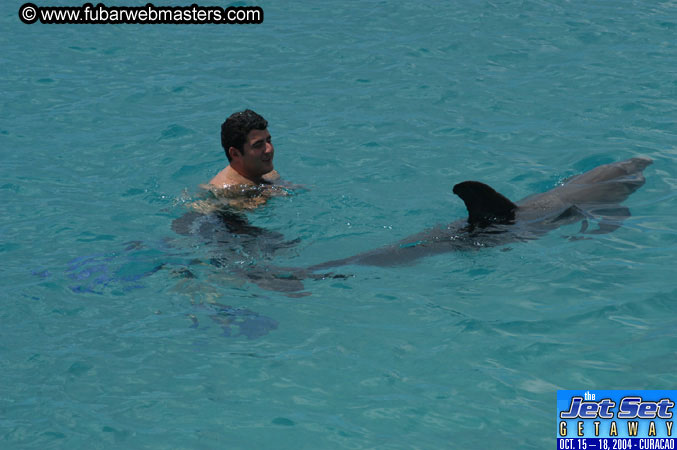 Sunday's Dolphin Swim Adventure and Animal Encounter 2004