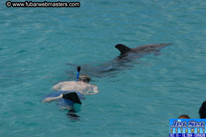 Sunday's Dolphin Swim Adventure and Animal Encounter 2004