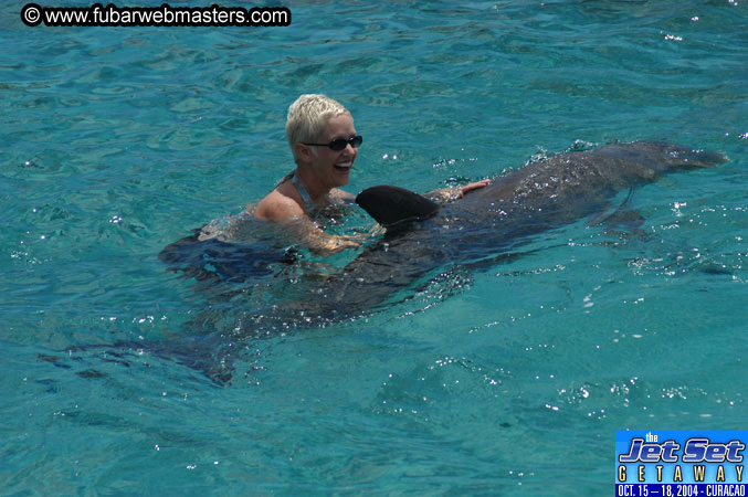 Sunday's Dolphin Swim Adventure and Animal Encounter 2004