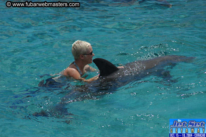 Sunday's Dolphin Swim Adventure and Animal Encounter 2004