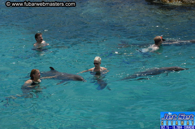 Sunday's Dolphin Swim Adventure and Animal Encounter 2004