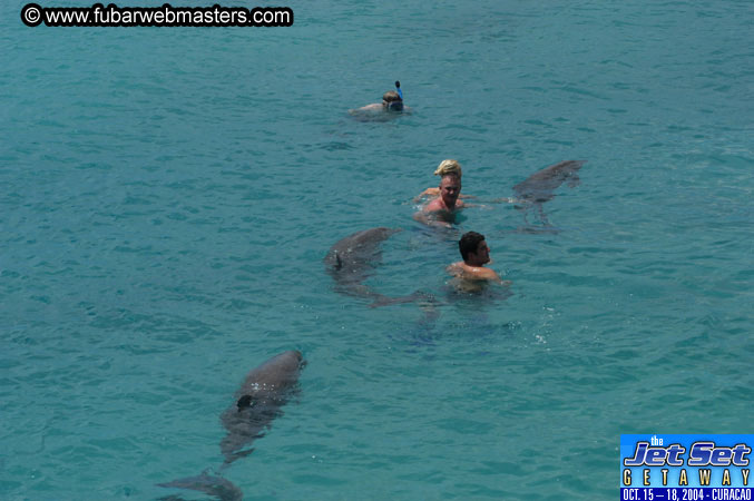 Sunday's Dolphin Swim Adventure and Animal Encounter 2004