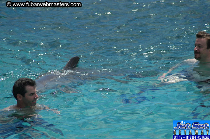 Sunday's Dolphin Swim Adventure and Animal Encounter 2004