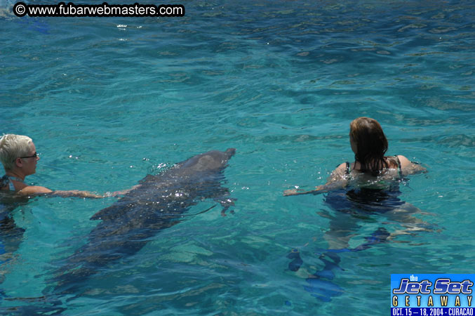 Sunday's Dolphin Swim Adventure and Animal Encounter 2004