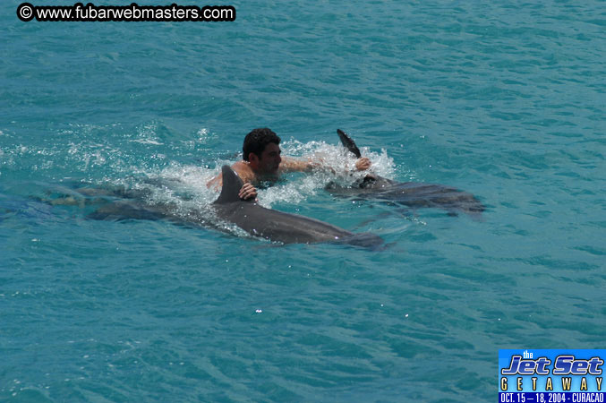 Sunday's Dolphin Swim Adventure and Animal Encounter 2004