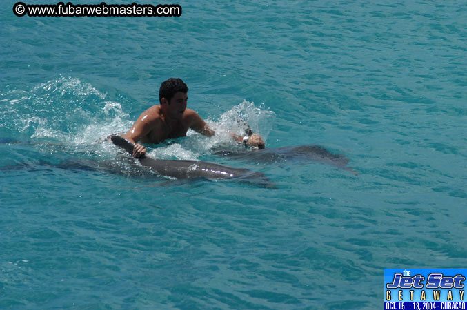 Sunday's Dolphin Swim Adventure and Animal Encounter 2004