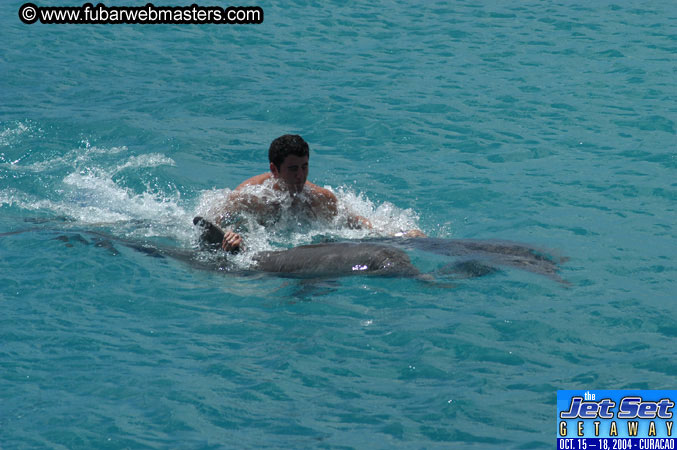 Sunday's Dolphin Swim Adventure and Animal Encounter 2004
