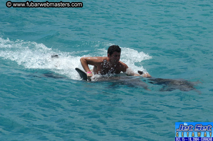 Sunday's Dolphin Swim Adventure and Animal Encounter 2004