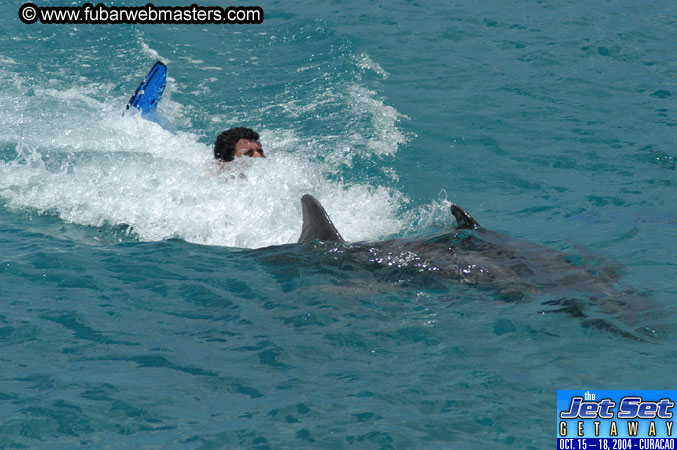 Sunday's Dolphin Swim Adventure and Animal Encounter 2004