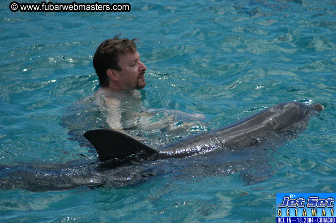 Sunday's Dolphin Swim Adventure and Animal Encounter 2004