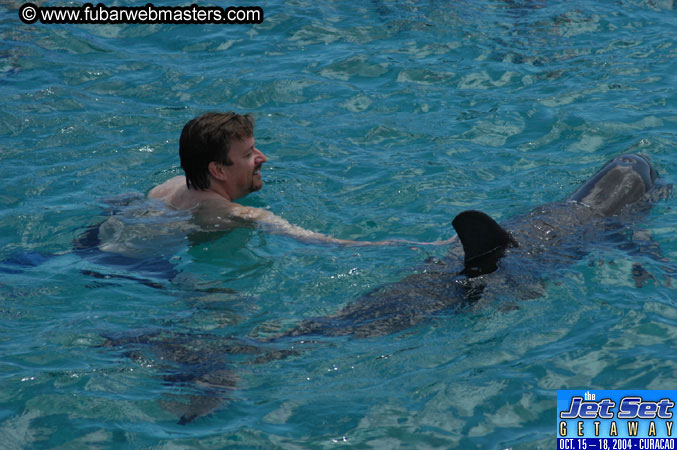 Sunday's Dolphin Swim Adventure and Animal Encounter 2004
