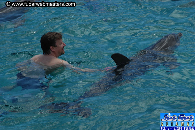 Sunday's Dolphin Swim Adventure and Animal Encounter 2004