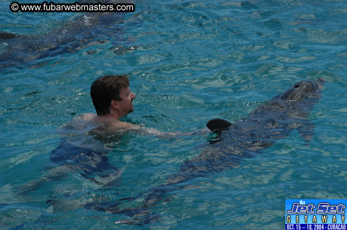 Sunday's Dolphin Swim Adventure and Animal Encounter 2004