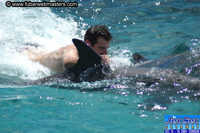 Sunday's Dolphin Swim Adventure and Animal Encounter 2004