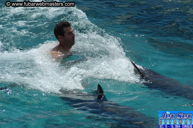 Sunday's Dolphin Swim Adventure and Animal Encounter 2004
