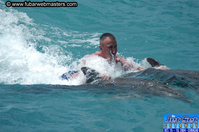 Sunday's Dolphin Swim Adventure and Animal Encounter 2004
