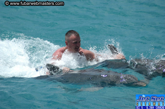 Sunday's Dolphin Swim Adventure and Animal Encounter 2004