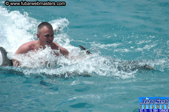 Sunday's Dolphin Swim Adventure and Animal Encounter 2004