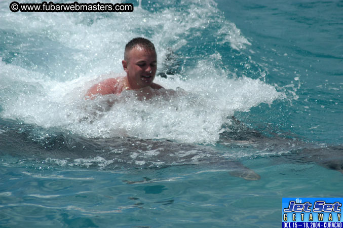 Sunday's Dolphin Swim Adventure and Animal Encounter 2004