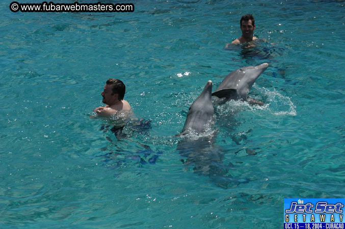 Sunday's Dolphin Swim Adventure and Animal Encounter 2004