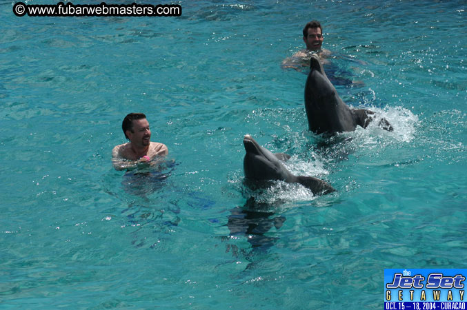 Sunday's Dolphin Swim Adventure and Animal Encounter 2004