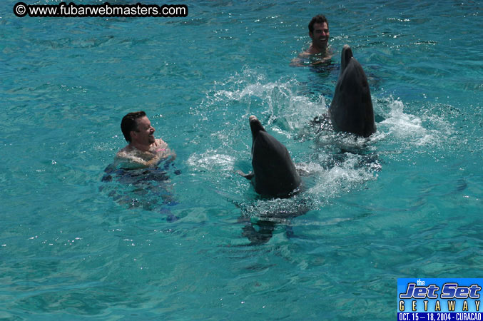 Sunday's Dolphin Swim Adventure and Animal Encounter 2004