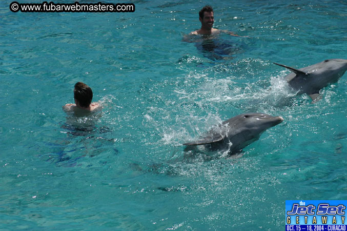 Sunday's Dolphin Swim Adventure and Animal Encounter 2004