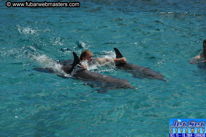 Sunday's Dolphin Swim Adventure and Animal Encounter 2004