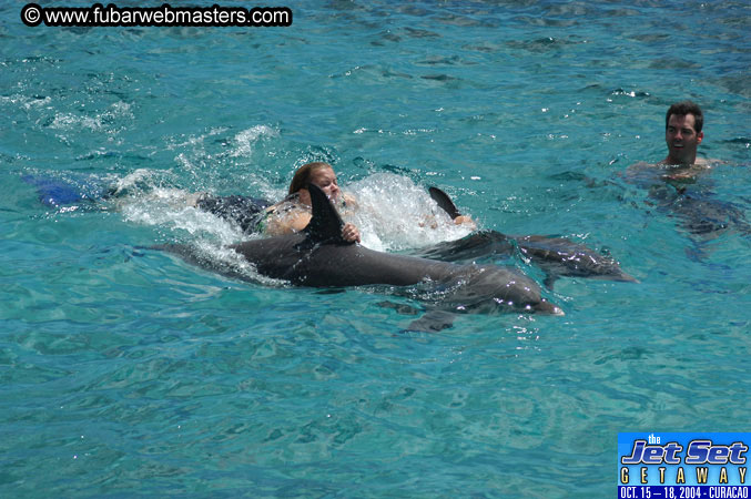 Sunday's Dolphin Swim Adventure and Animal Encounter 2004