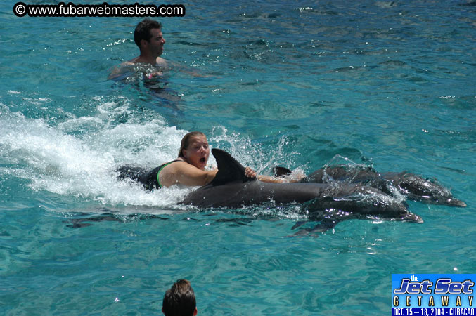 Sunday's Dolphin Swim Adventure and Animal Encounter 2004