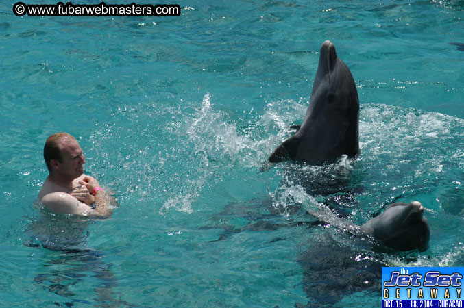 Sunday's Dolphin Swim Adventure and Animal Encounter 2004