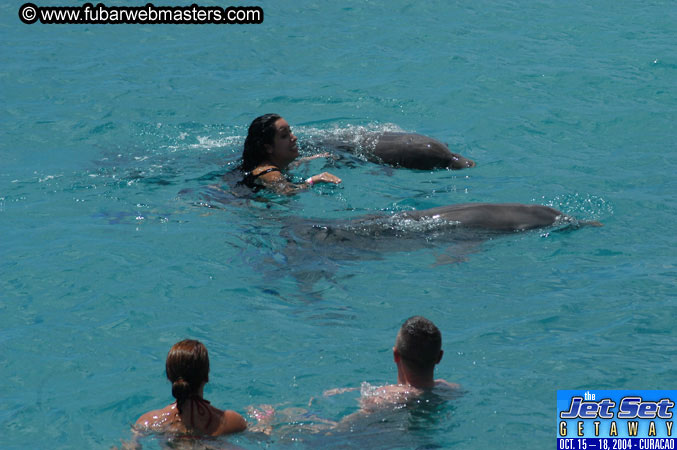 Sunday's Dolphin Swim Adventure and Animal Encounter 2004