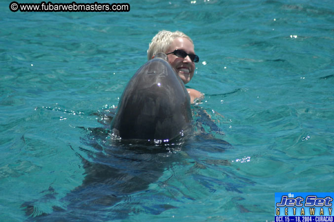 Sunday's Dolphin Swim Adventure and Animal Encounter 2004