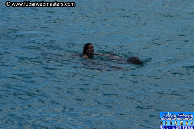Sunday's Dolphin Swim Adventure and Animal Encounter 2004