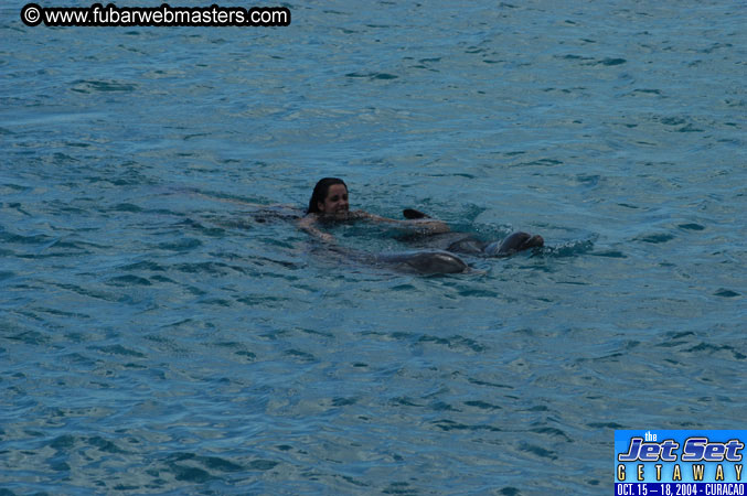 Sunday's Dolphin Swim Adventure and Animal Encounter 2004