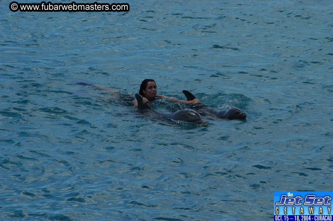 Sunday's Dolphin Swim Adventure and Animal Encounter 2004