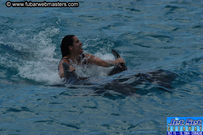 Sunday's Dolphin Swim Adventure and Animal Encounter 2004