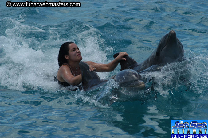Sunday's Dolphin Swim Adventure and Animal Encounter 2004