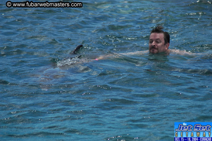 Sunday's Dolphin Swim Adventure and Animal Encounter 2004