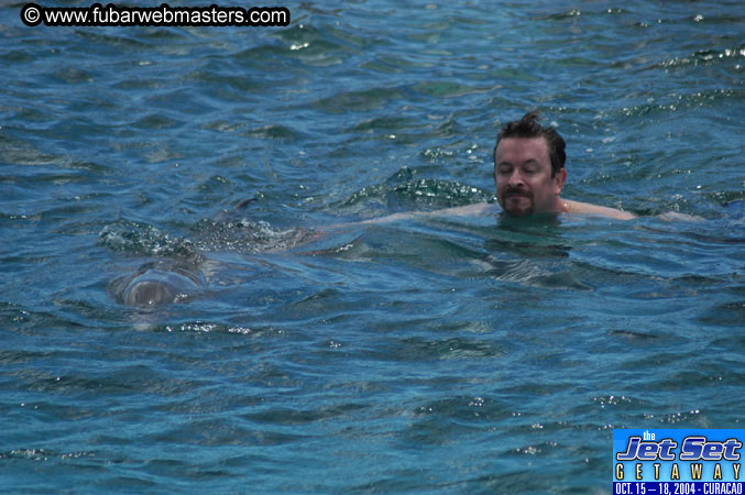 Sunday's Dolphin Swim Adventure and Animal Encounter 2004