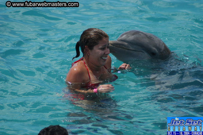 Sunday's Dolphin Swim Adventure and Animal Encounter 2004