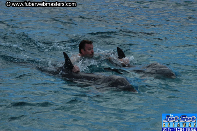 Sunday's Dolphin Swim Adventure and Animal Encounter 2004