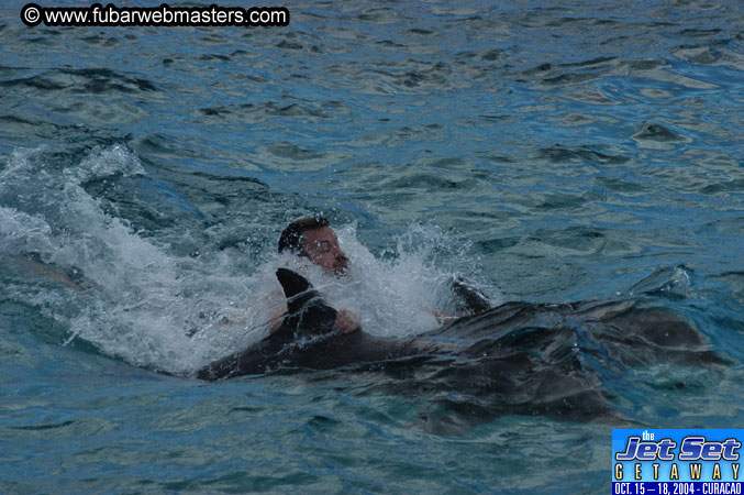 Sunday's Dolphin Swim Adventure and Animal Encounter 2004