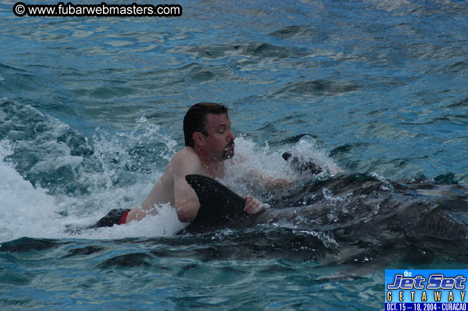 Sunday's Dolphin Swim Adventure and Animal Encounter 2004