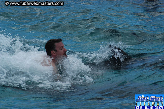 Sunday's Dolphin Swim Adventure and Animal Encounter 2004