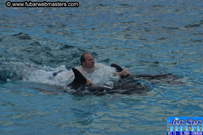 Sunday's Dolphin Swim Adventure and Animal Encounter 2004